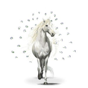 fågelnomadhästen pavos