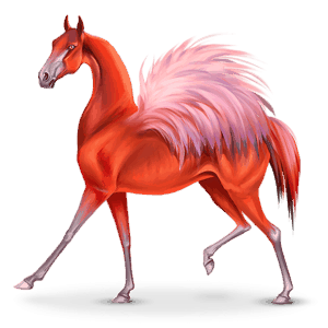 fågelnomadhästen phoenico